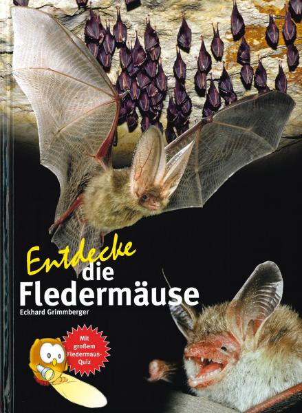 Titelbild: Entdecke die Fledermäuse